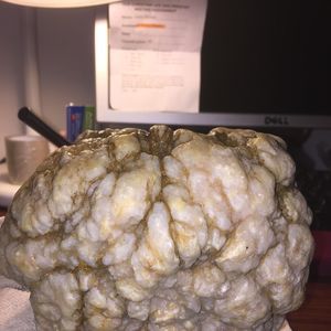 Meet your Posher, Joyce